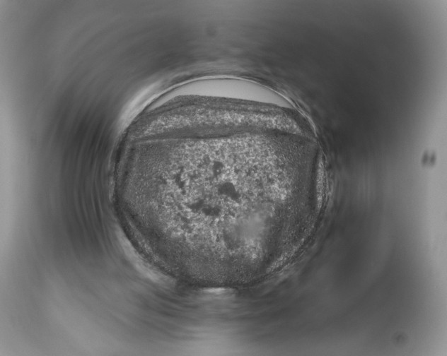 X0000112800053200909181546