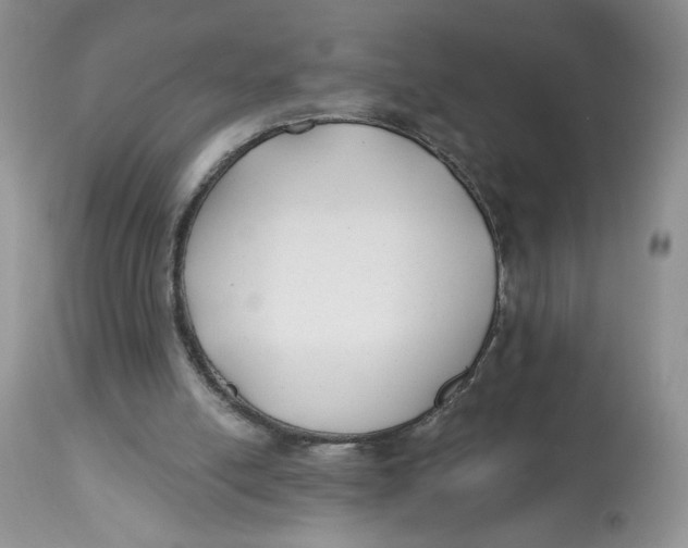 X0000112800054200909181546