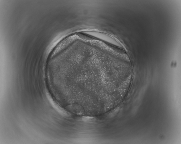X0000112800055200909181546