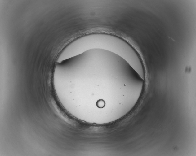 X0000112800057200909181546