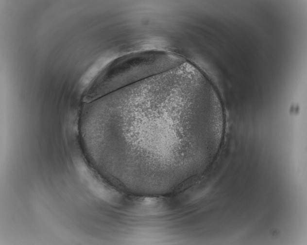 X0000112800060200909181546
