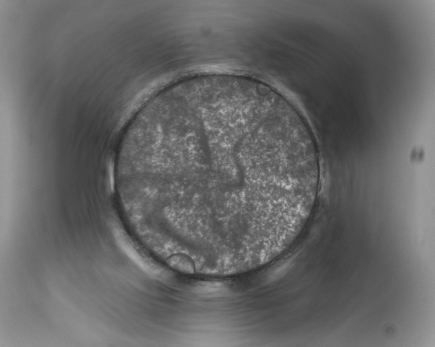 X0000112800061200909181546