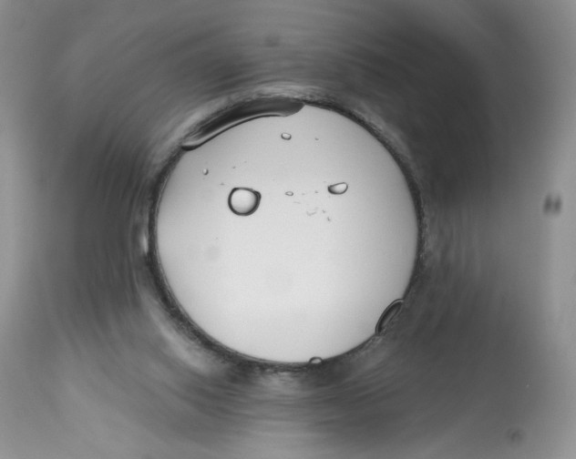 X0000112800062200909181546