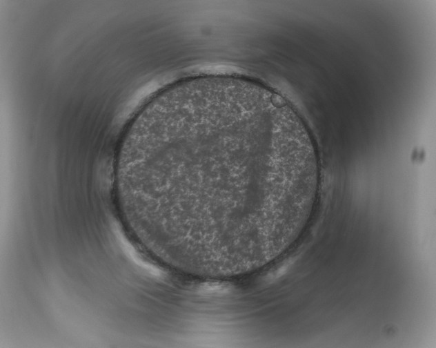X0000112800063200909181546