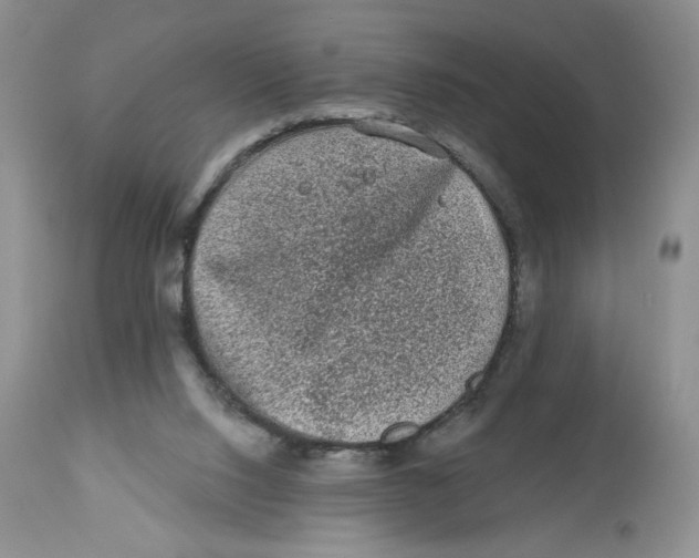X0000112800064200909181546