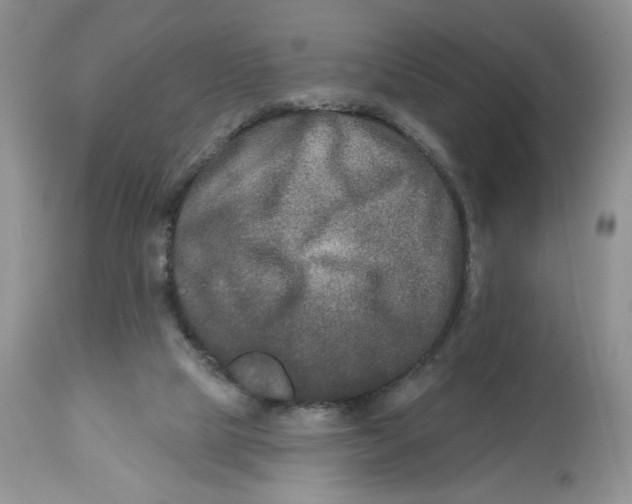 X0000112800065200909181546