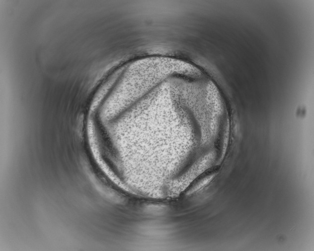 X0000112800066200909181546