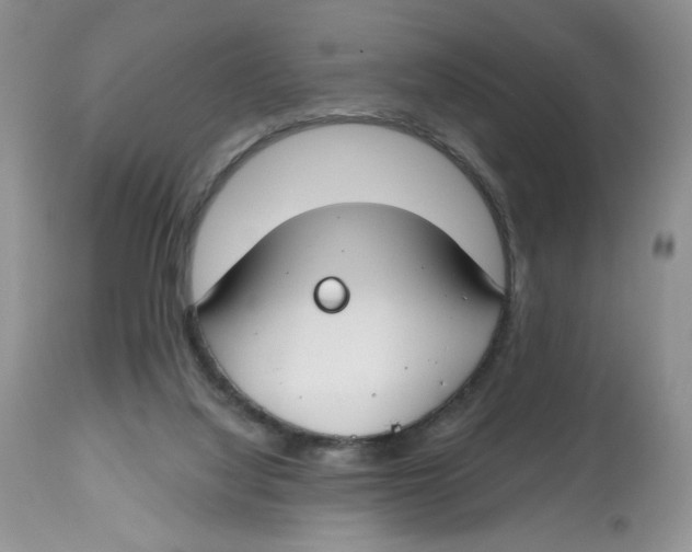 X0000112800068200909181546