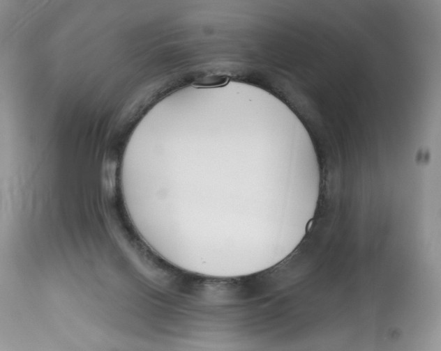 X0000112800070200909181546