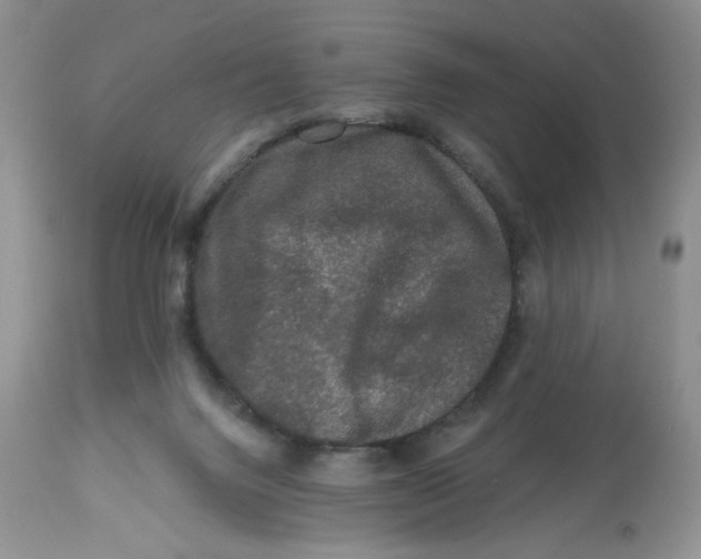 X0000112800072200909181546