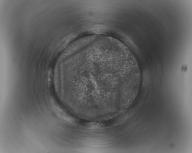 X0000112800073200909181546