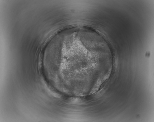 X0000112800074200909181546