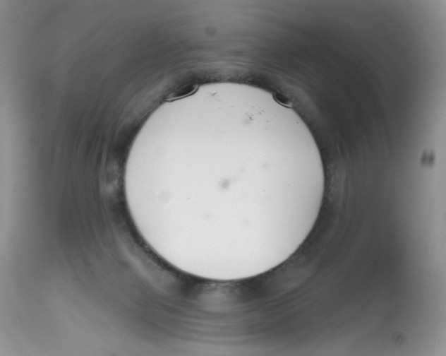 X0000112800077200909181546
