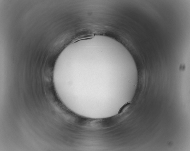 X0000112800078200909181546