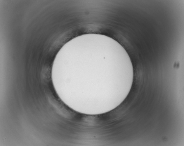 X0000112800079200909181546