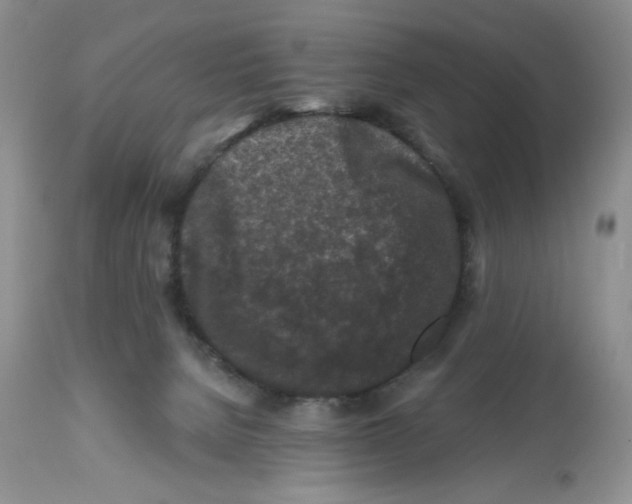 X0000112800080200909181546