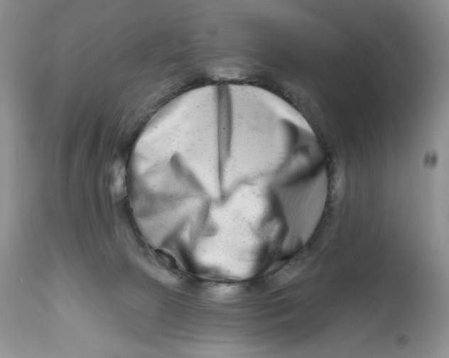 X0000112800081200909181546