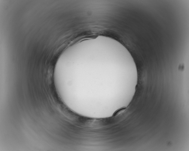 X0000112800082200909181546