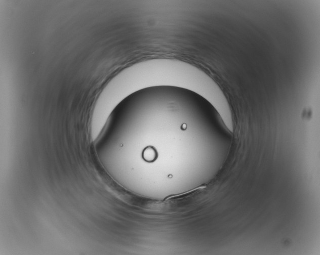 X0000112800084200909181546