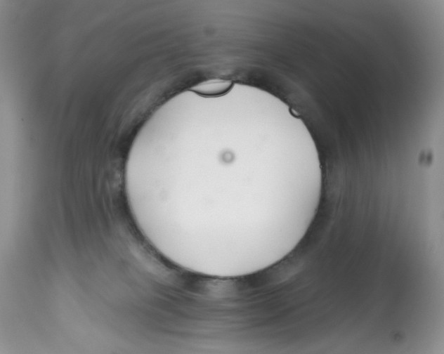 X0000112800085200909181546