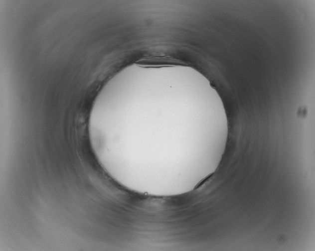 X0000112800086200909181546