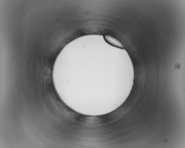 X0000112800087200909181546