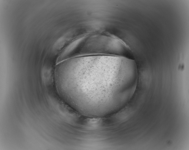 X0000112800088200909181546