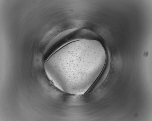 X0000112800092200909181547