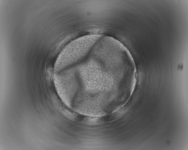 X0000112800093200909181547