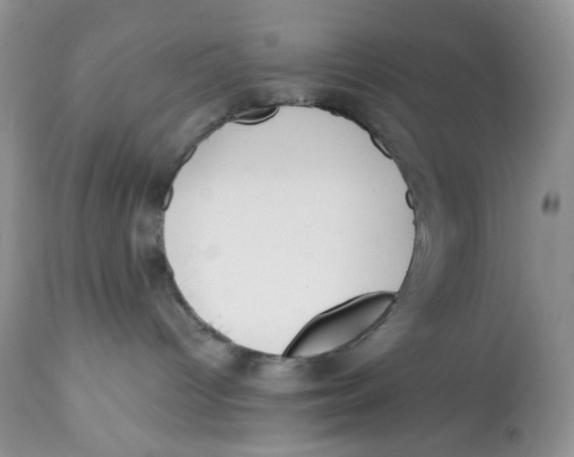 X0000112800096200909181547