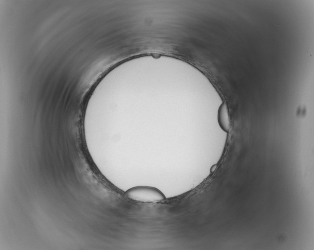 X0000112800098200909181546