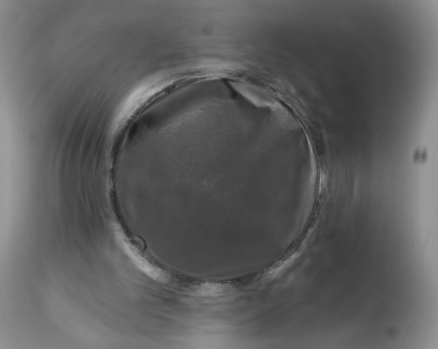 X0000112800101200909181546
