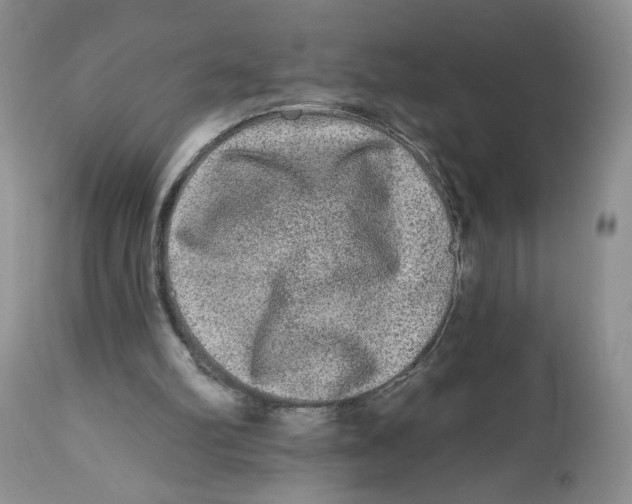 X0000112800102200909181546
