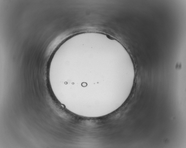 X0000112800103200909181546