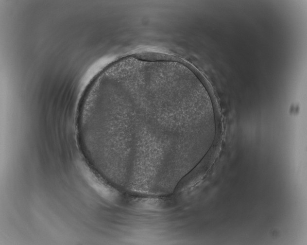 X0000112800104200909181546