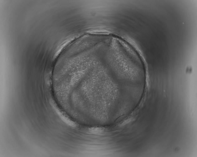 X0000112800105200909181546