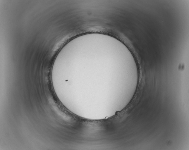 X0000112800106200909181546