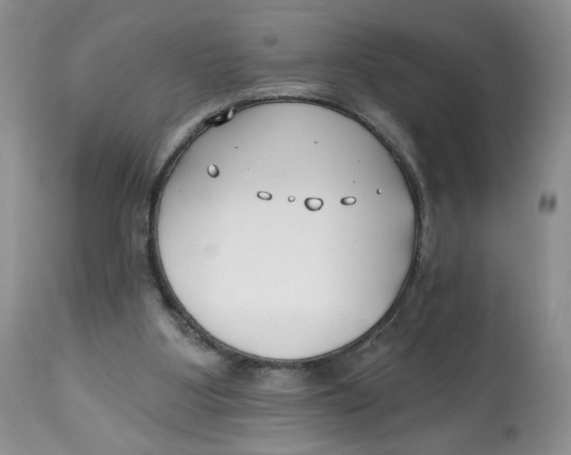 X0000112800107200909181546
