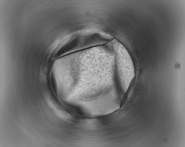 X0000112800108200909181546