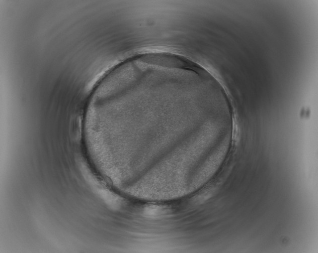 X0000112800109200909181546
