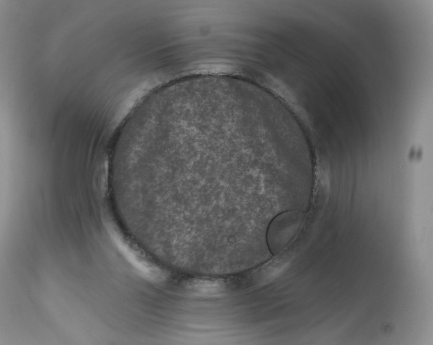 X0000112800110200909181546
