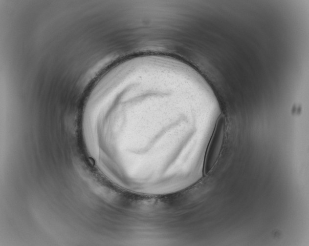 X0000112800112200909181546