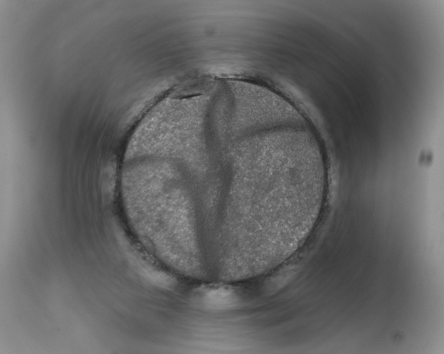 X0000112800113200909181546