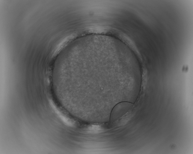 X0000112800114200909181546