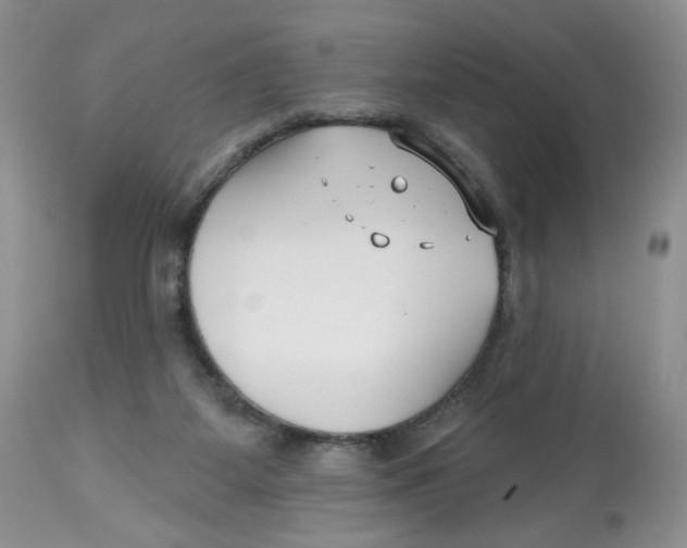 X0000112800115200909181546