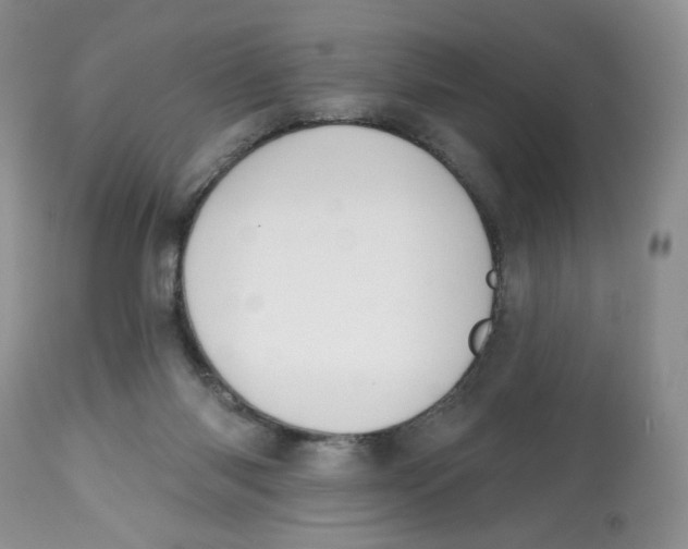 X0000112800118200909181545