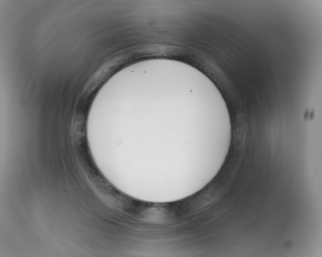 X0000112800119200909181545