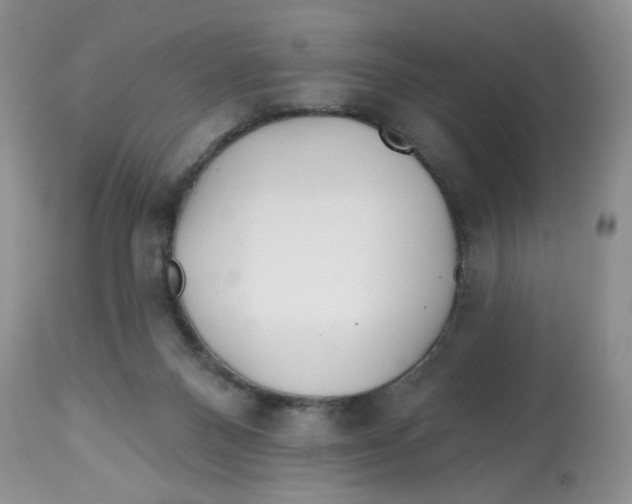 X0000112800120200909181545