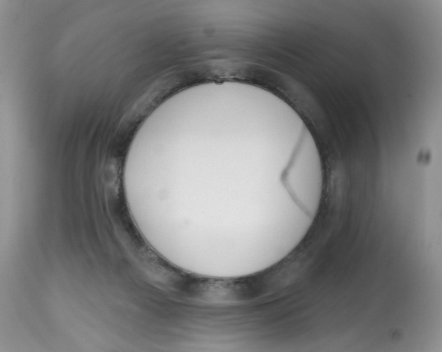 X0000112800121200909181545