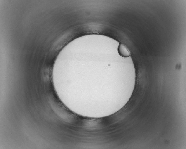X0000112800122200909181545
